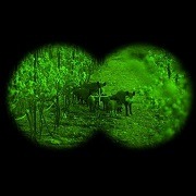 Best 5 Night Vision Binoculars Reviews 2022: Thermal, Infrared