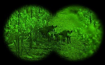 top rated night vision binoculars