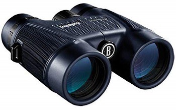 Bushnell H2O Waterproof 10x42 review