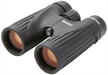 Bushnell Legend Ultra HD Roof Prism Binocular 10x42
