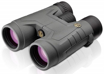 Leupold BX-2 Acadia 10x42mm Binocular