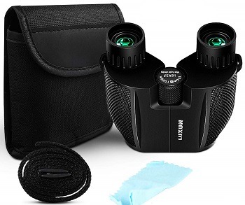 SGODDE Compact Binoculars for Adult Kids 10x25 review