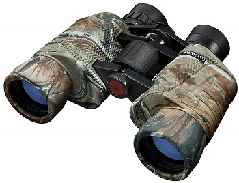 Simmons ProSport Porro Prism Binocular, Realtree AP Camo (8X 40-mm)