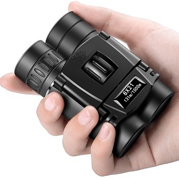 small-mini-binoculars
