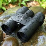 Best 5 Cheap & Affordable Binoculars Under $100-200-300-500