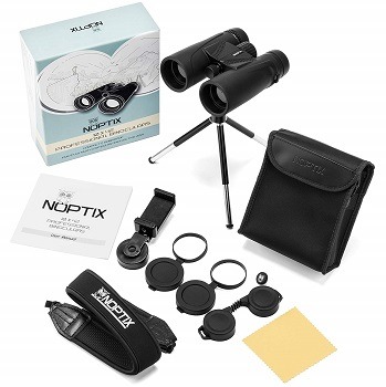 Noptix Binoculars 10x42 review