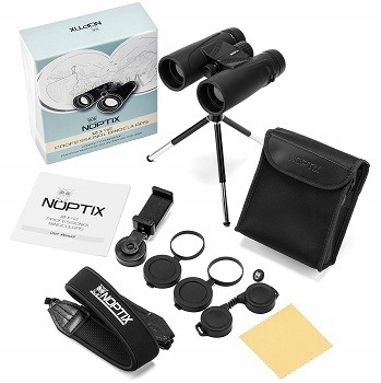 Noptix Binoculars 10x42 review